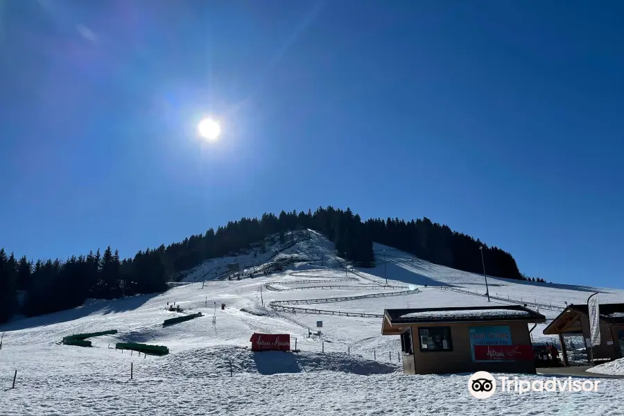 Speed ​​Luge Vercors