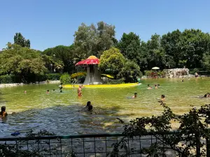 Park Club ASD