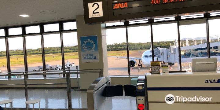 Shonai Airport