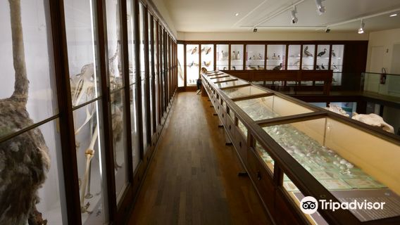 Natural History Museum