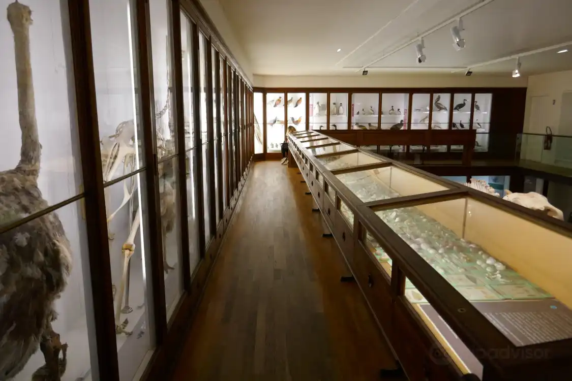 Hotels near Natural History Museum