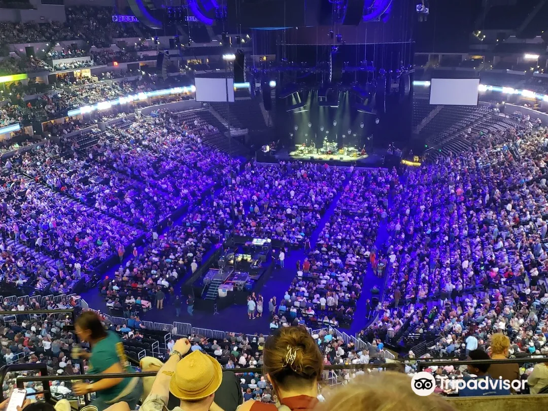4_Ball Arena