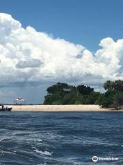 Anclote Key Preserve State Park