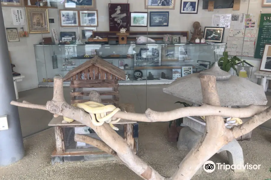 Imazu White Snakes Museum