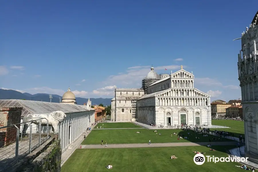 Camminamento in Quota Sulle Mura di Pisa