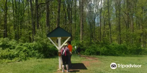 Sourland Mountain Preserve