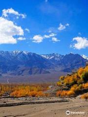 Thiksey Monastery