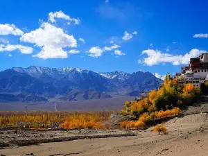 Thiksey Monastery