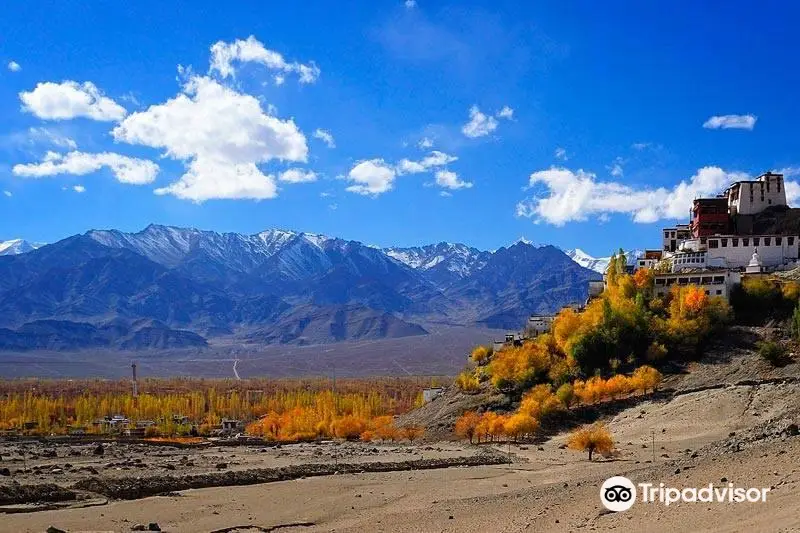 Thiksey Monastery