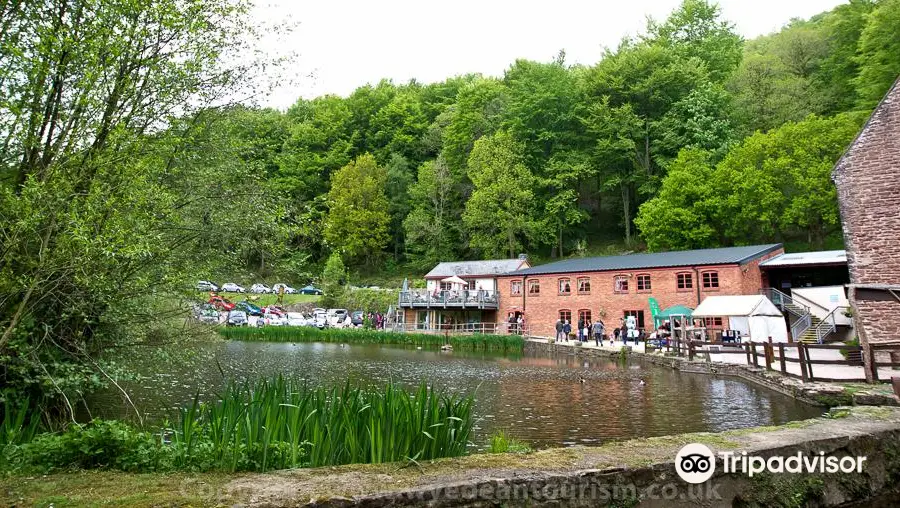 Wye Valley and Forest of Dean