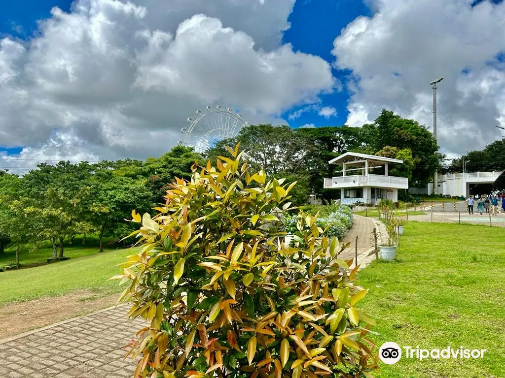 4_Тагейтей Пикник Гров