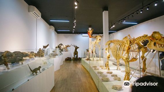 Cat Tien National Park