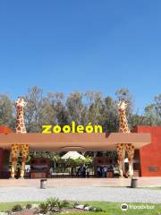 Zoologico Leon