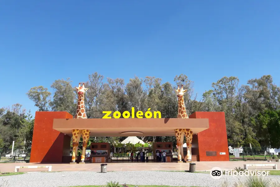 Zoologico Leon