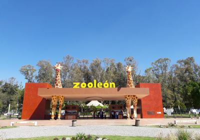 Zoologico Leon