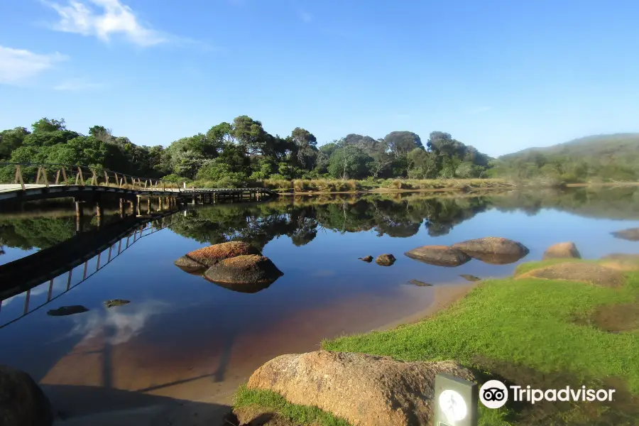 Tidal River Foot Bridge