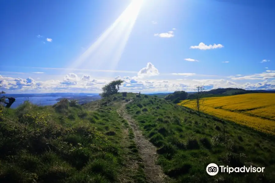 The Binn HIll