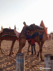 Mandvi Beach and Windfarm