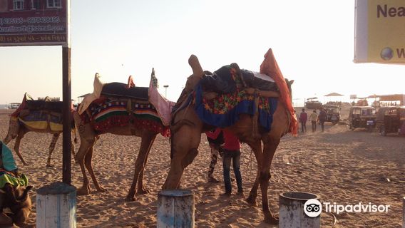 Mandvi Beach and Windfarm