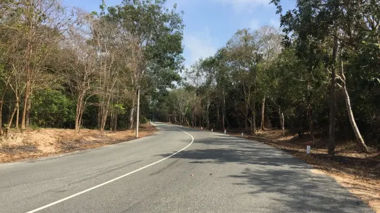 Binh Chau - Phuoc Buu Nature Reserve