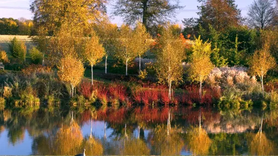 Marks Hall Gardens and Arboretum