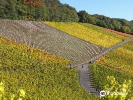 Weingut Bloser