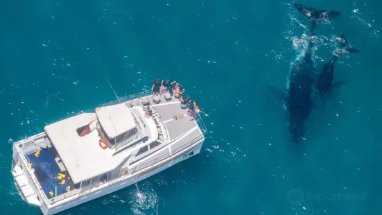 Ningaloo Coral Bay - Bayview