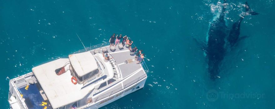 Ningaloo Coral Bay - Bayview