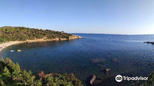 Spiaggia di Barabarca