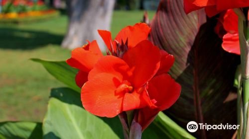 Niagara Parks Botanical Gardens