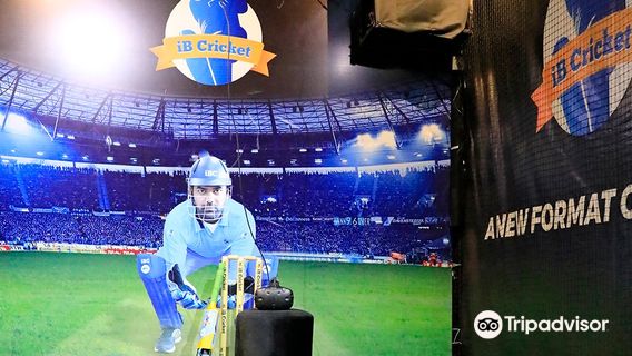 iB Cricket (Amanora Mall)