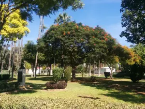 Limassol Municipal Garden