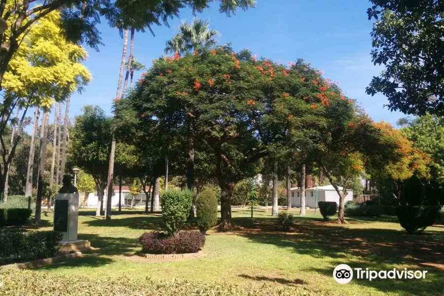 Limassol Municipal Garden