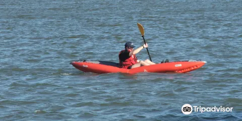 Longview Lake and Beach