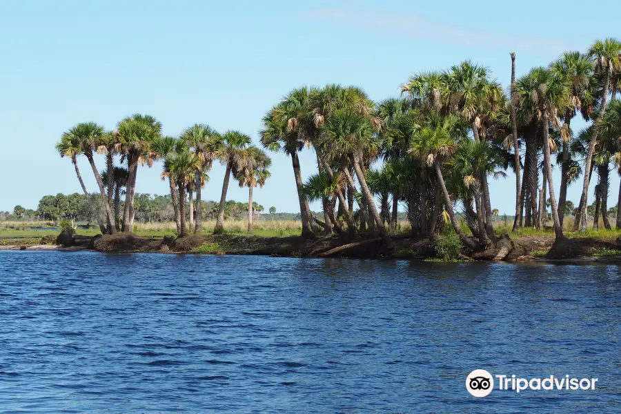 Tosohatchee State Reserve