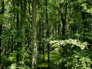 Fish Point Provincial Nature Reserve