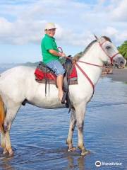 The Riding Adventure horseback costa rica