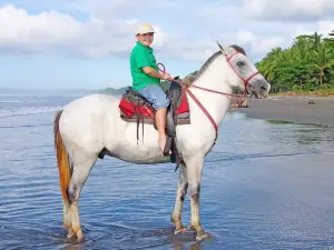 The Riding Adventure horseback costa rica