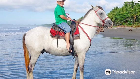 The Riding Adventure horseback costa rica