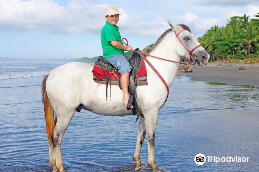 The Riding Adventure horseback costa rica