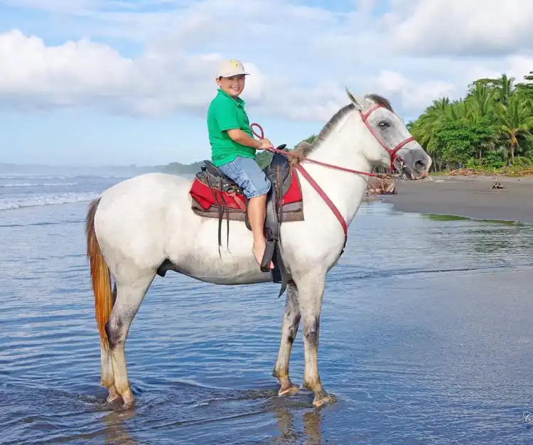 Hotels near The Riding Adventure horseback costa rica