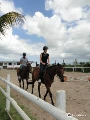 The Forbach Stables