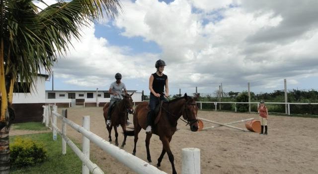 The Forbach Stables