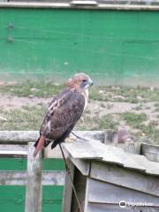 Tamar Otter & Wildlife Centre