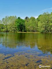 Brumley Forest Nature Preserve