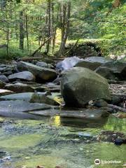 Old Jelly Mill Falls