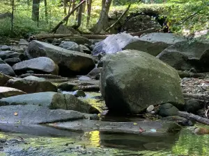 Old Jelly Mill Falls