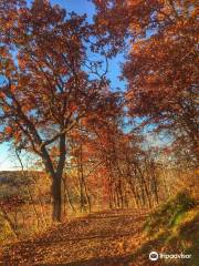 Hoffman Hills State Recreation Area