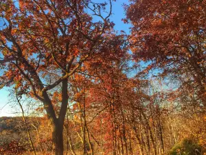 Hoffman Hills State Recreation Area