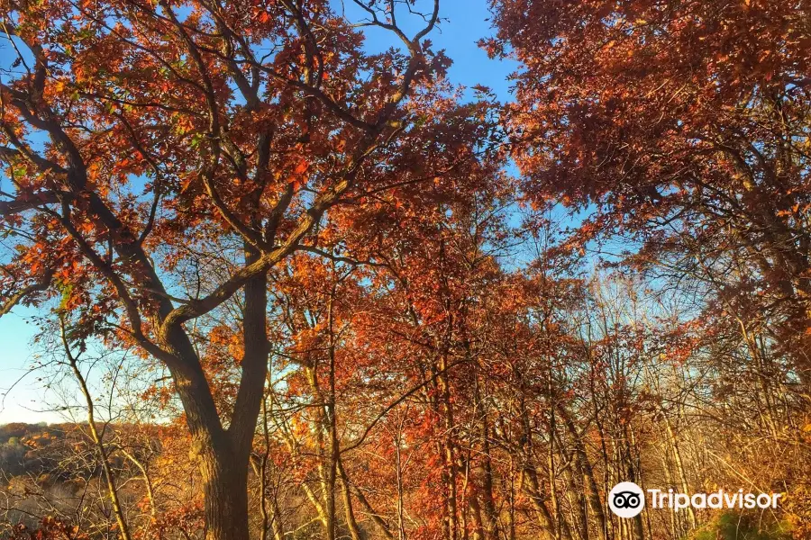 Hoffman Hills State Recreation Area